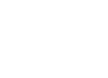 swissdigin logo